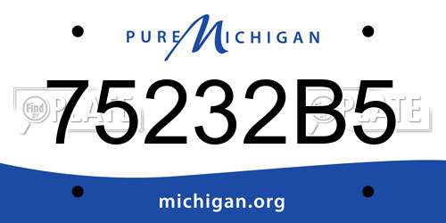 75232B5 Michigan License Plate