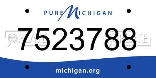7523788 Michigan License Plate