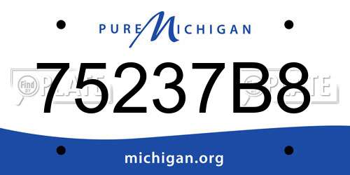 75237B8 Michigan License Plate