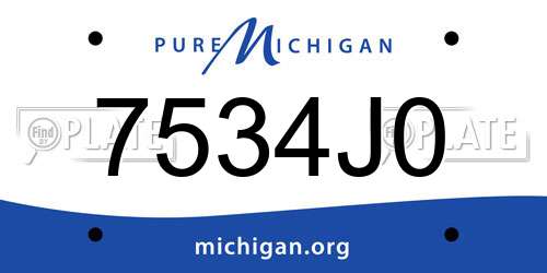 7534J0 Michigan License Plate