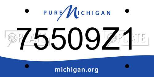 75509Z1 Michigan License Plate