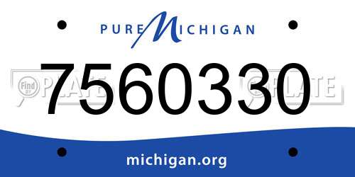 7560330 Michigan License Plate