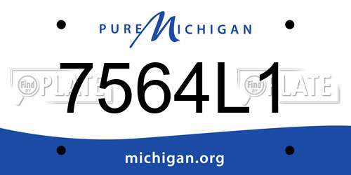 7564L1 Michigan License Plate