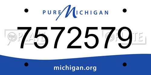 7572579 Michigan License Plate