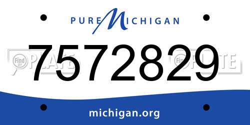 7572829 Michigan License Plate