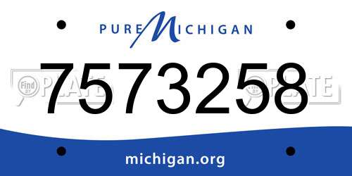 7573258 Michigan License Plate