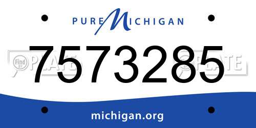 7573285 Michigan License Plate