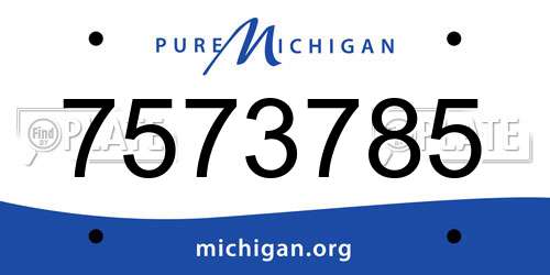 7573785 Michigan License Plate