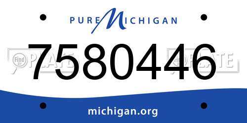 7580446 Michigan License Plate