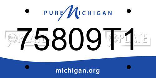 75809T1 Michigan License Plate
