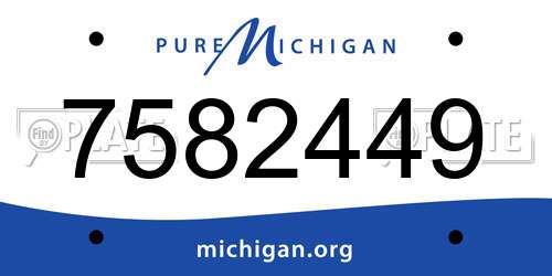 7582449 Michigan License Plate