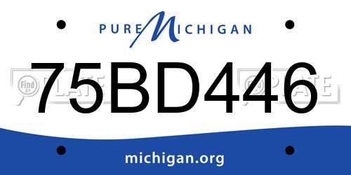 75BD446 Michigan License Plate
