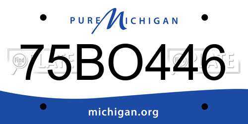 75BO446 Michigan License Plate