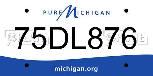 75DL876 Michigan License Plate