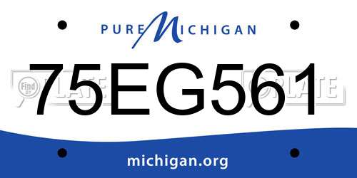 75EG561 Michigan License Plate