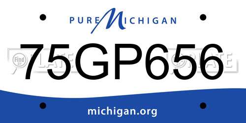 75GP656 Michigan License Plate