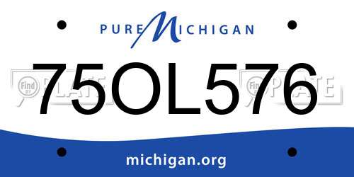 75OL576 Michigan License Plate