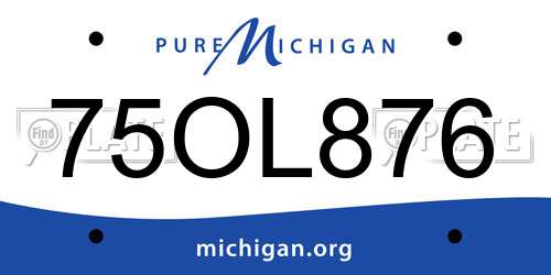 75OL876 Michigan License Plate