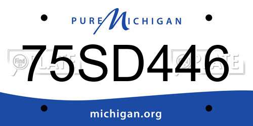 75SD446 Michigan License Plate