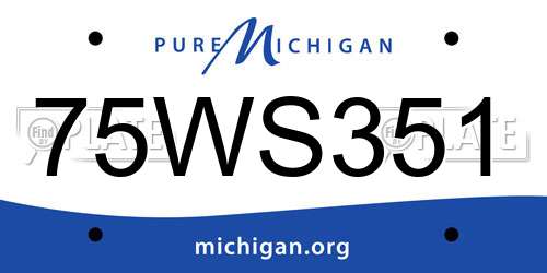 75WS351 Michigan License Plate