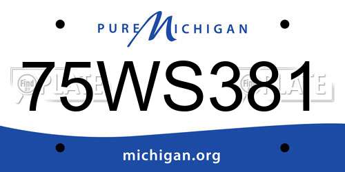 75WS381 Michigan License Plate