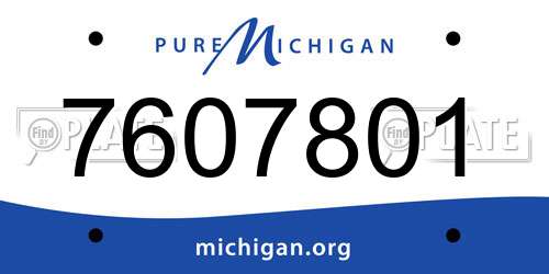 7607801 Michigan License Plate