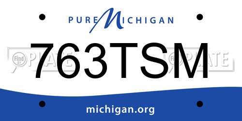 763TSM Michigan License Plate