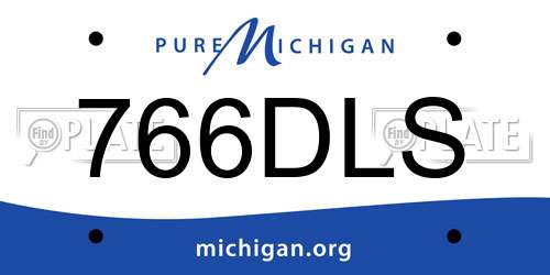766DLS Michigan License Plate