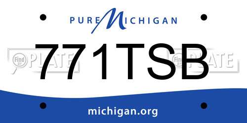 771TSB Michigan License Plate