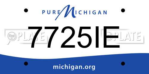 7725IE Michigan License Plate