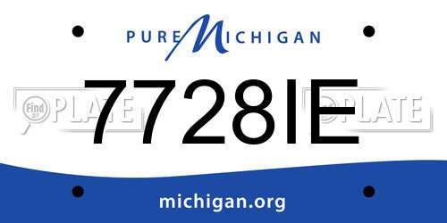 7728IE Michigan License Plate
