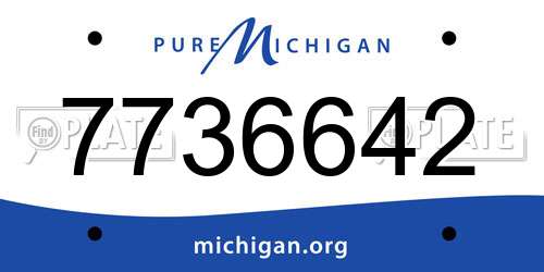 7736642 Michigan License Plate