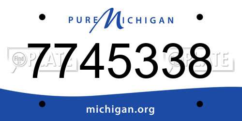 7745338 Michigan License Plate