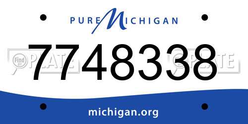 7748338 Michigan License Plate