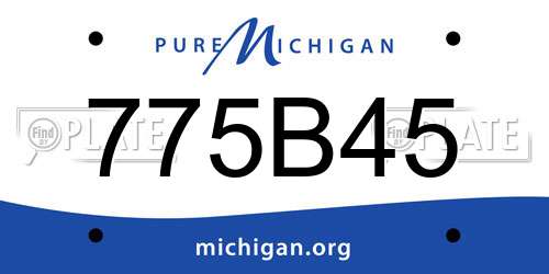 775B45 Michigan License Plate