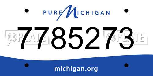 7785273 Michigan License Plate