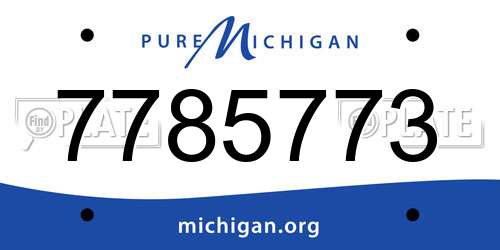7785773 Michigan License Plate