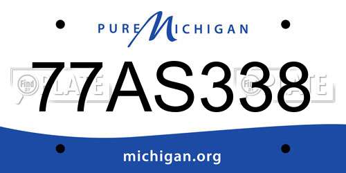 77AS338 Michigan License Plate