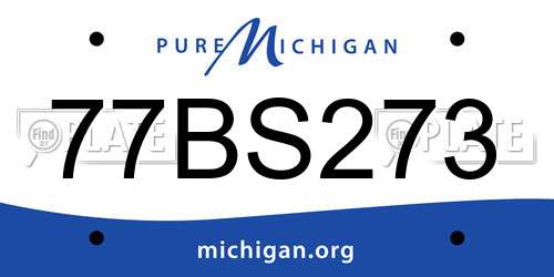 77BS273 Michigan License Plate