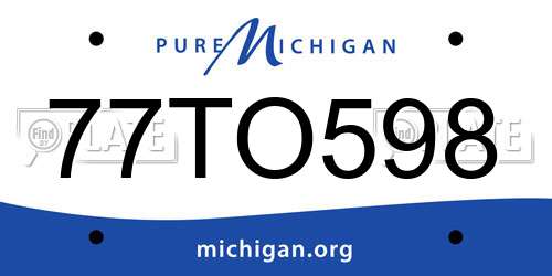 77TO598 Michigan License Plate