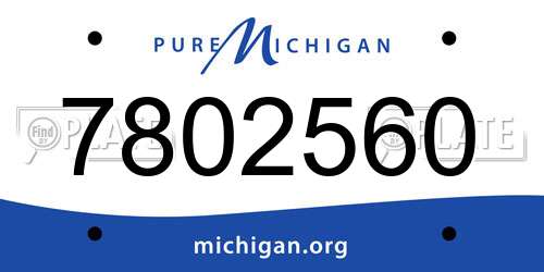 7802560 Michigan License Plate
