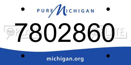 7802860 Michigan License Plate