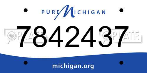 7842437 Michigan License Plate