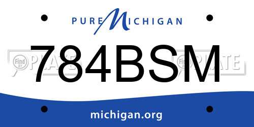 784BSM Michigan License Plate