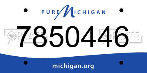7850446 Michigan License Plate