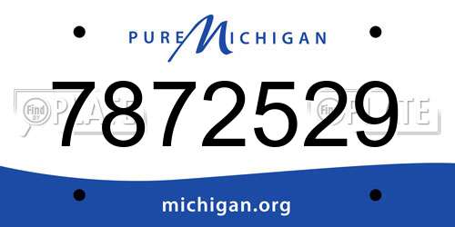 7872529 Michigan License Plate