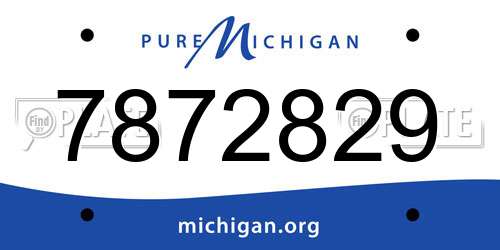 7872829 Michigan License Plate