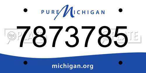 7873785 Michigan License Plate