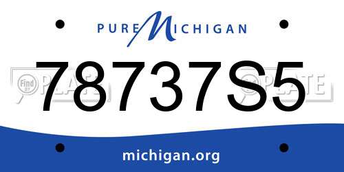 78737S5 Michigan License Plate