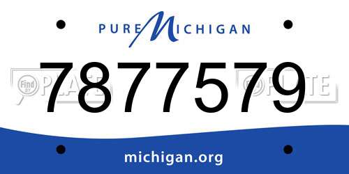 7877579 Michigan License Plate